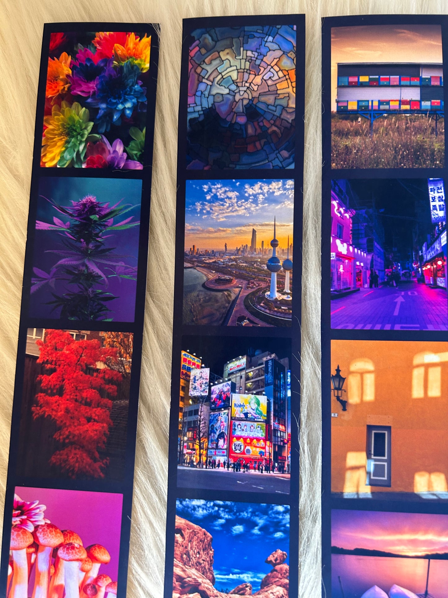 Polaroid strips (customizable)